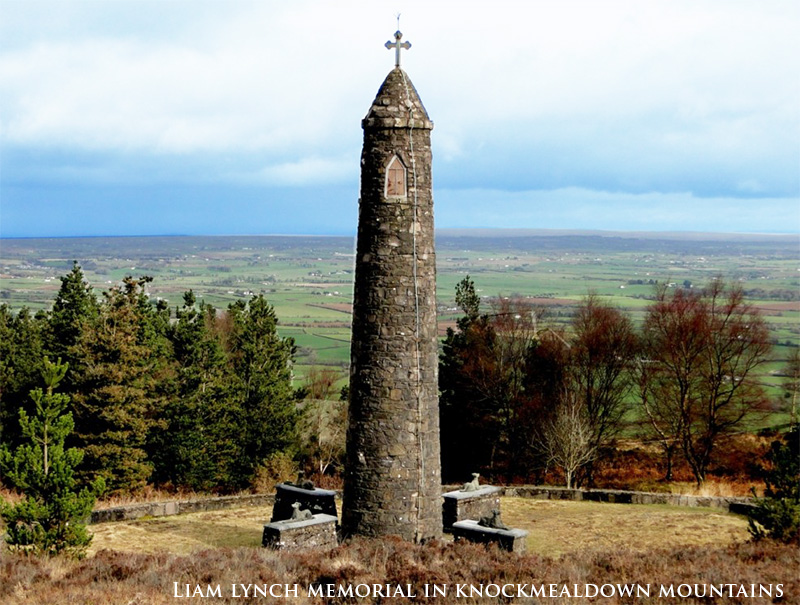 Liam Lynch Memorial