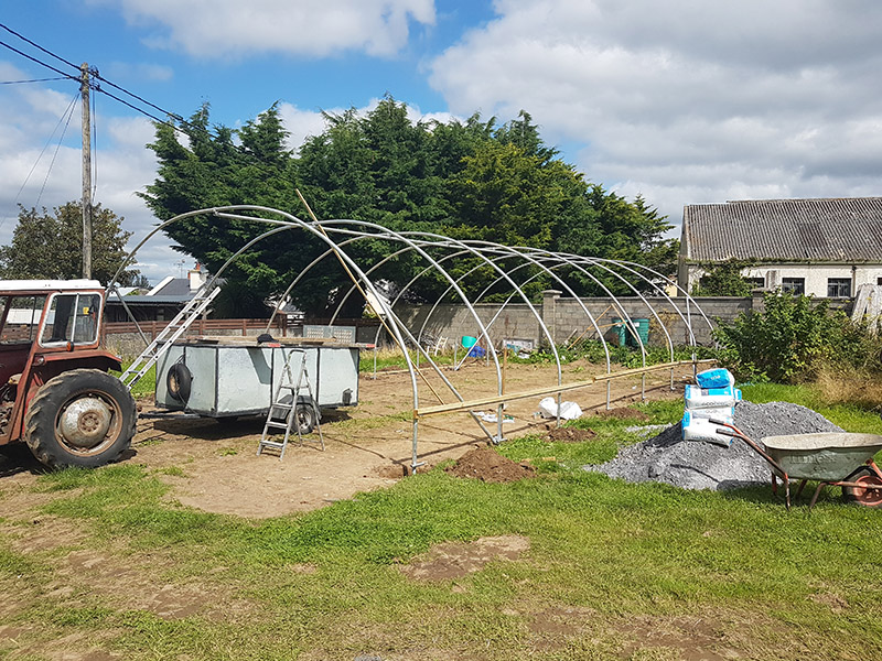 Newcastle Community Composting Polytunnel 3