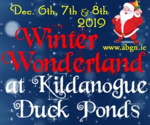 Winter Wonderland in Newcastle, Clonmel, Tipperary 2019